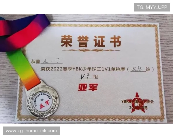 2026年篮球联赛青训营志愿者管理系统新增荣誉证书电子查询功能，篮球运动员证书查询